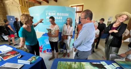 LOUPIAN - Aire Marine Protégée de la lagune de Thau :  L'exposition participative itinérante du SMBT fait une halte à Loupian