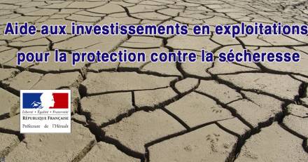 Hérault - Aide aux investissements en exploitations pour la protection contre la sécheresse