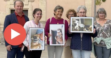 MARSEILLAN - MARSEILLAN - VIDEO - Une 2ème édition réussie pour la Journée Internationale des animaux