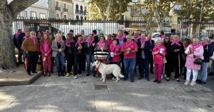 Hérault - MARSEILLAN - VIDEO - Rassemblement et chaine solidaire pour OCTOBRE ROSE .