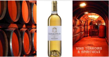 Vins & Spiritueux - Château d'Arche 2019, Grand Cru Classé de Sauternes - Vin blanc liquoreux - Éloge de l'excellence