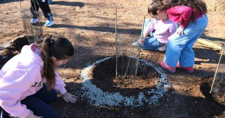 MARSEILLAN - Unissons-Nous pour la Nature : Participez à la seconde Plantation citoyenne au Parc du Boudas !