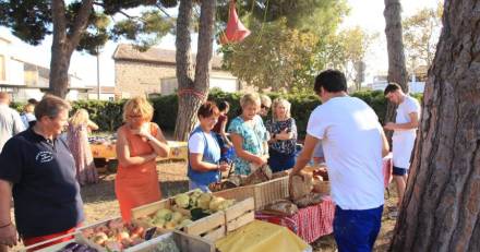 MARSEILLAN - Un Marché de producteurs de la Capéchade Vendredi 31 janvier, de 15h à 18h !